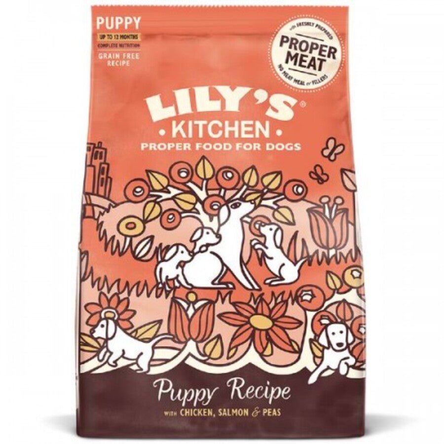 Lily's Kitchen - Lily'S Kitchen Cibo Per Cani Cuccioli Croccantini 7Kg Salmone - Animalmania Store