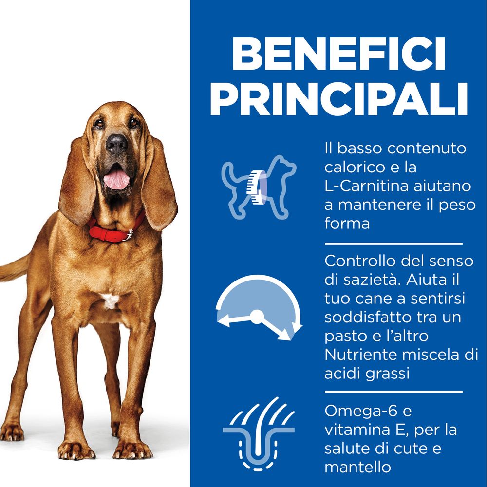 Hill's Science Plan - Hill's Science Plan LIGHT MEDIUM MATURE ADULT ALIMENTO PER CANI con POLLO - Animalmania Store