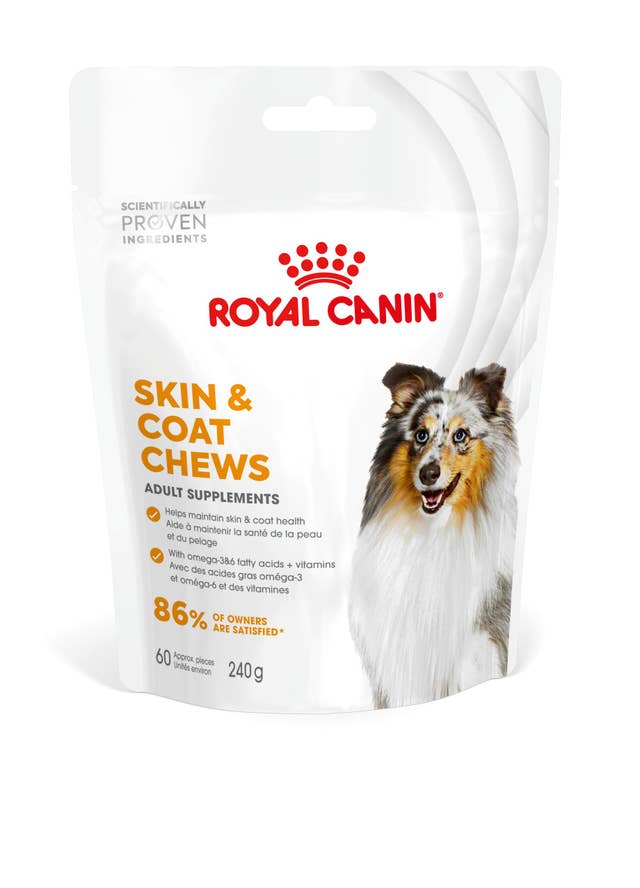 Supplement Skin & Coat Chews
