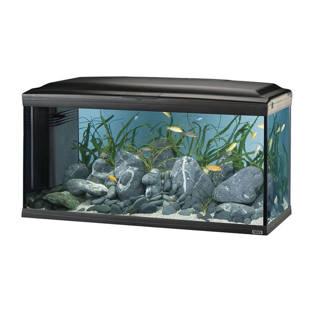 FERPLAST - Ferplast Acquario Cayman 110 Led Nero - Animalmania Store