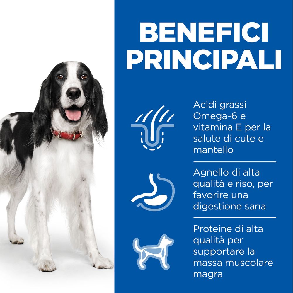 Hill's Science Plan - Hill's Science Plan Medium Adult Alimento per Cani con Agnello e Riso - Animalmania Store