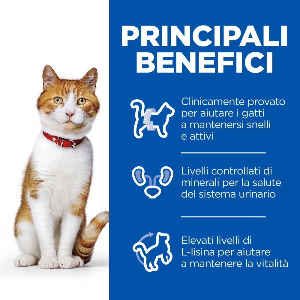 Hill's Science Plan - Hill's Science Plan Adult Sterilised Cat Alimento per Gatti con Pollo Bustina - Animalmania Store