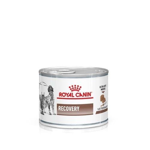 Royal Canin - Royal Canin Dog/Cat Recovery Multipack 12X200Gr - Animalmania Store