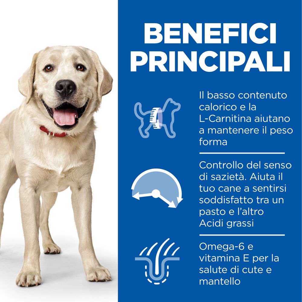 Hill's Science Plan - Hill's Science Plan LIGHT LARGE BREED ADULT ALIMENTO PER CANI con POLLO - Animalmania Store