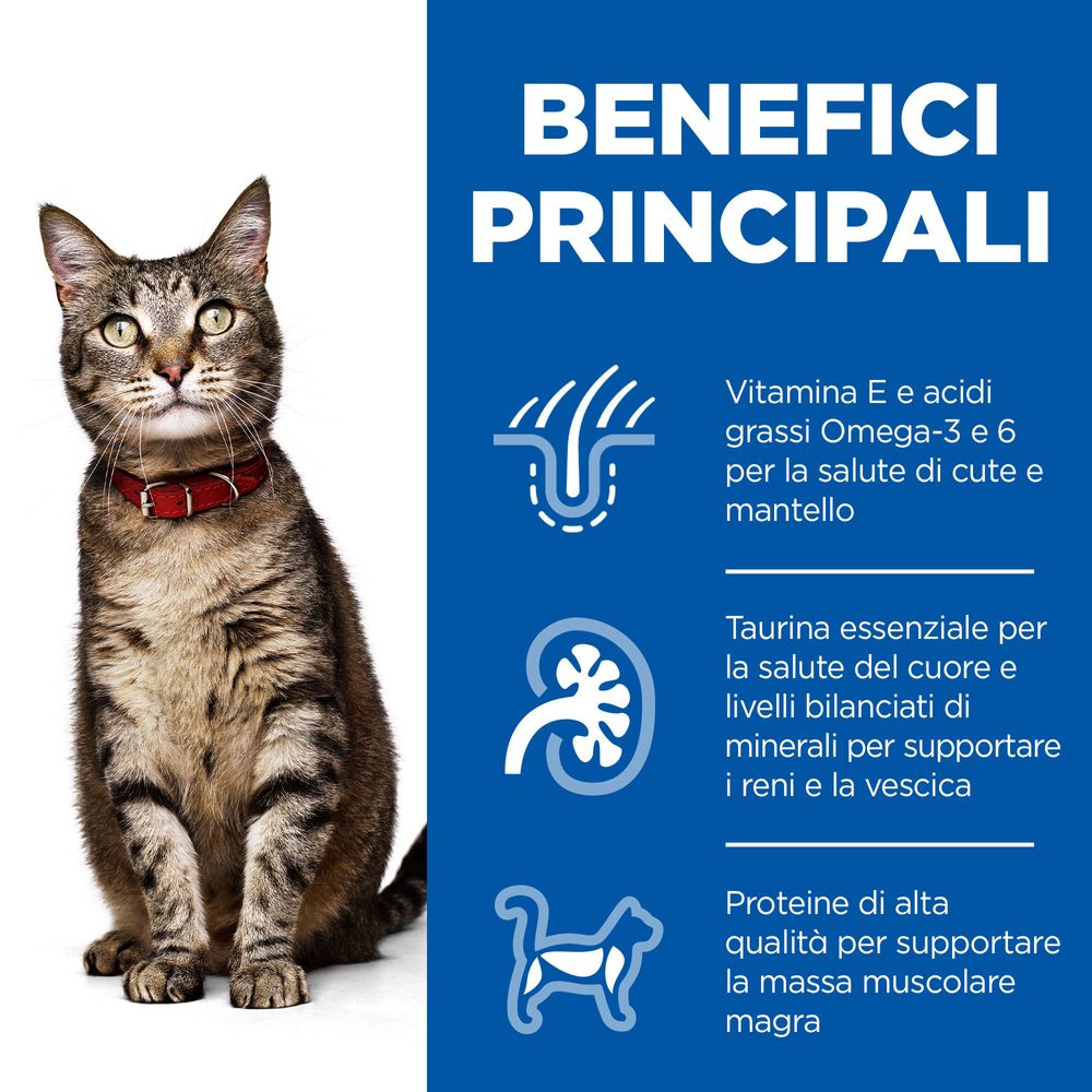 Hill's Science Plan - Hill's Science Plan Adult Alimento per Gatti con Tacchino Bustina - Animalmania Store