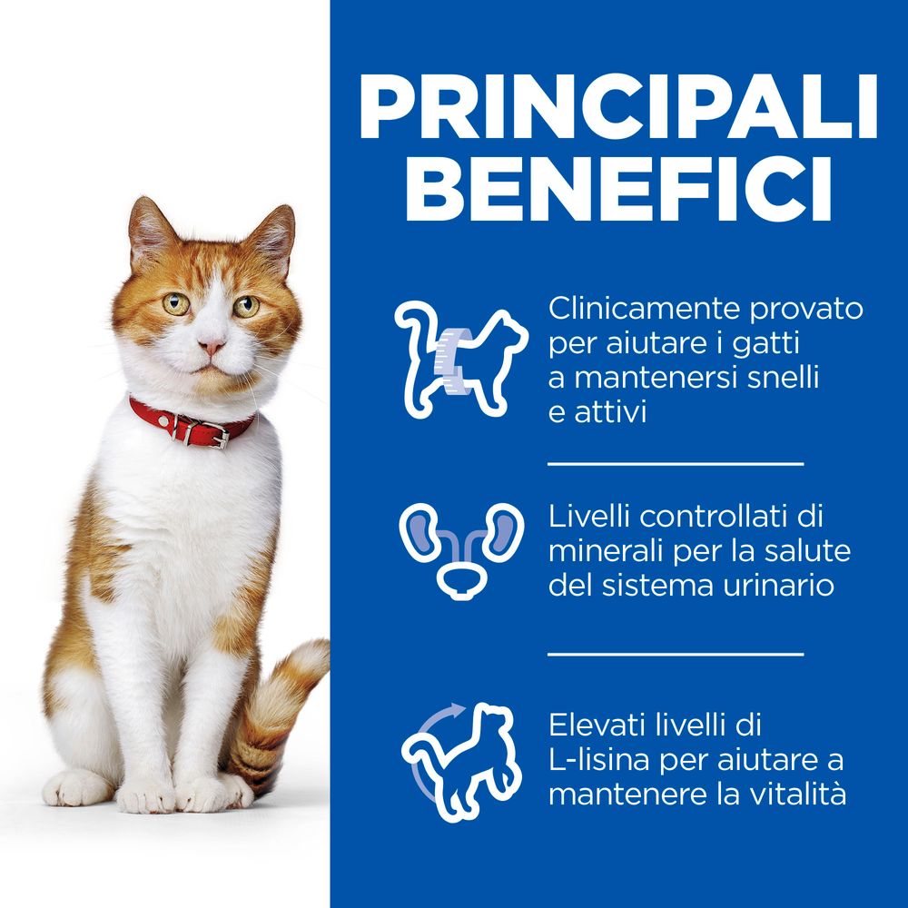 Hill's Science Plan - Hill's Science Plan STERILISED CAT ADULT ALIMENTO PER GATTI con ANATRA - Animalmania Store