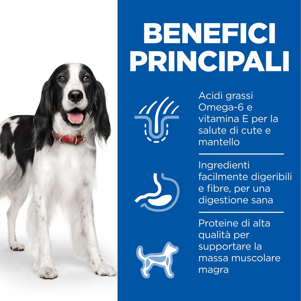 Hill's Science Plan - Hill's Science Plan Medium Adult Alimento per Cani con Pollo - Animalmania Store