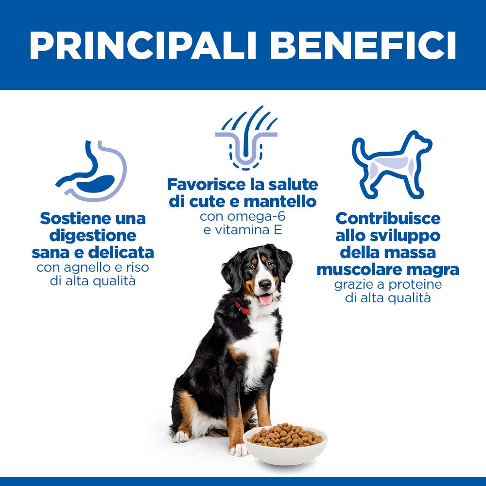 HILL'S SCIENCE PLAN Adult Large Breed Alimento secco per cani all'agnello e riso - 14kg