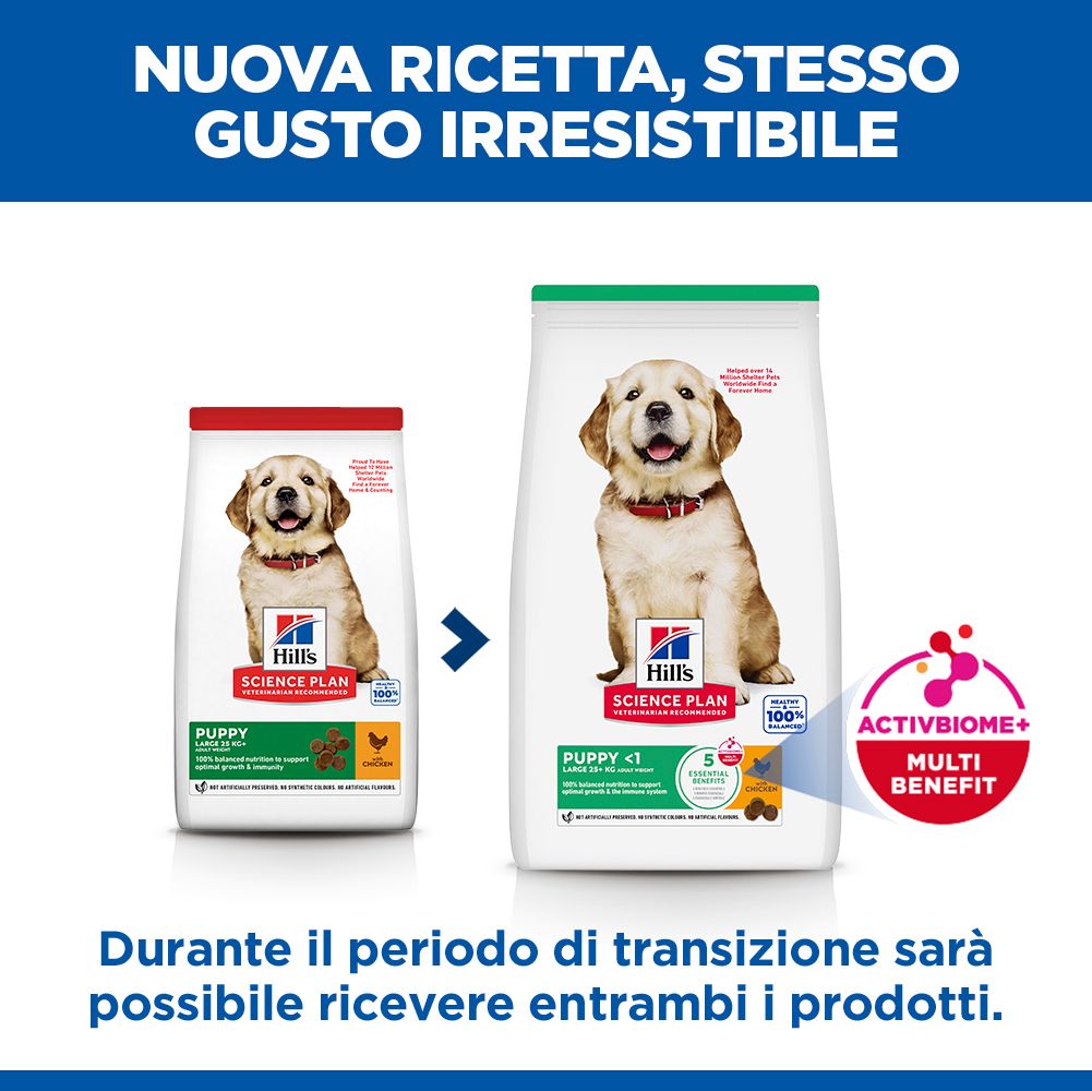 HILL'S SCIENCE PLAN Puppy Large Breed Alimento per cuccioli secco per cani al pollo - 14,5kg