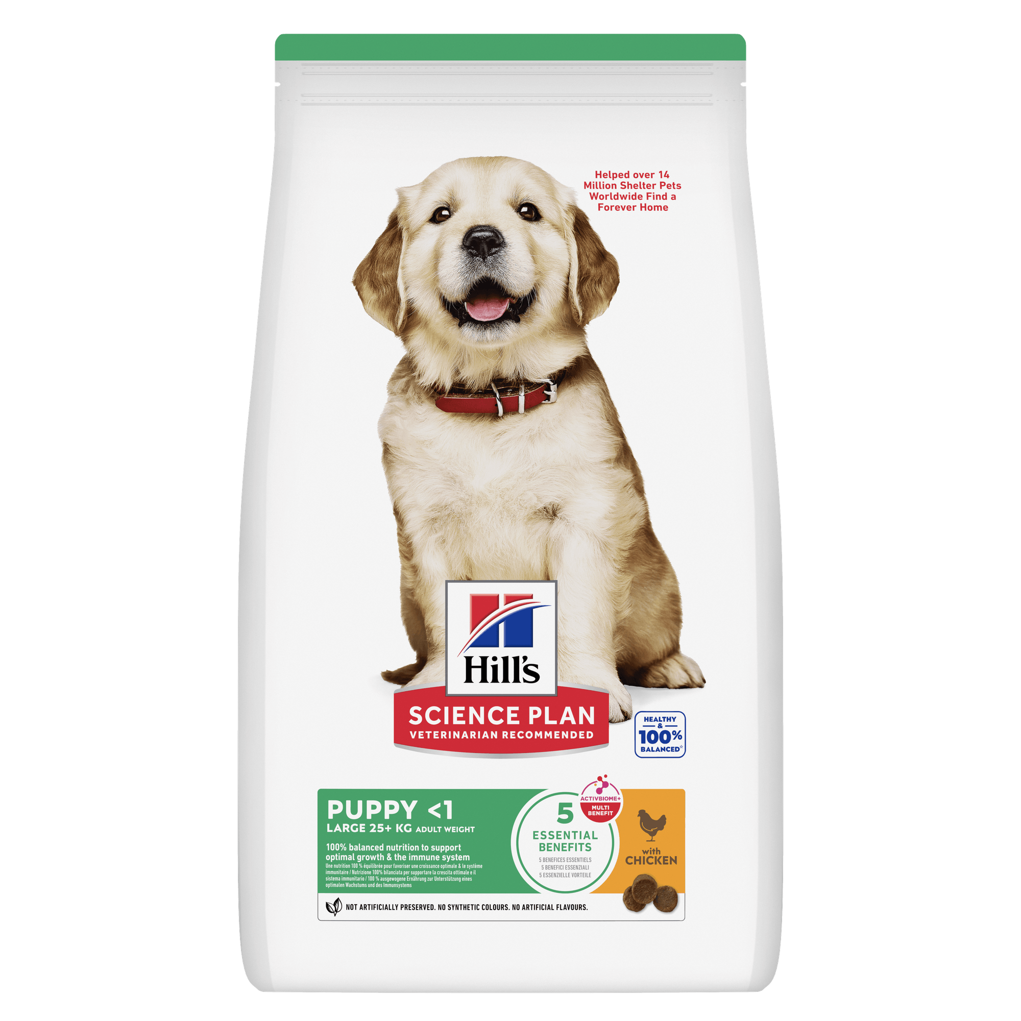 HILL'S SCIENCE PLAN Puppy Large Breed Alimento per cuccioli secco per cani al pollo - 14,5kg