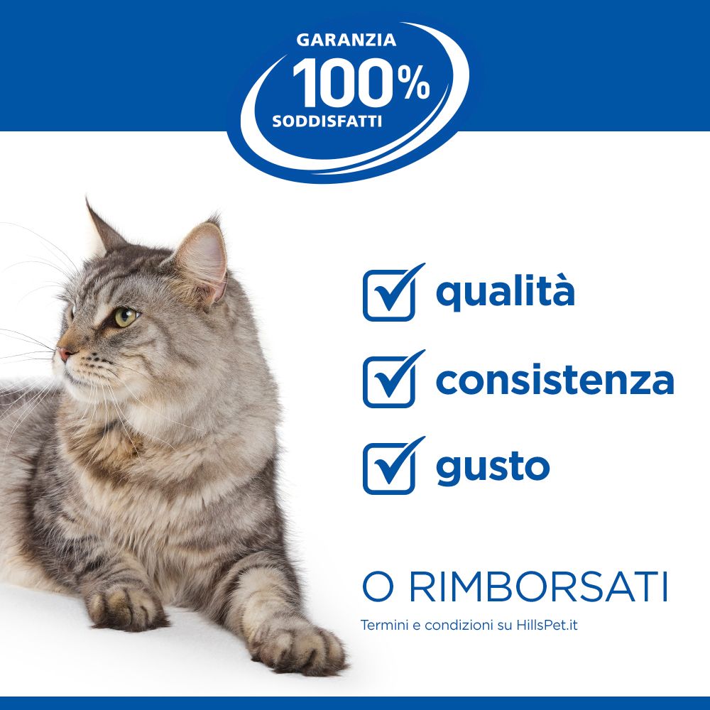 Hill's Science Plan Sterilised Cat Adult Alimento per gatti secco con salmone 10 kg Crocchette
