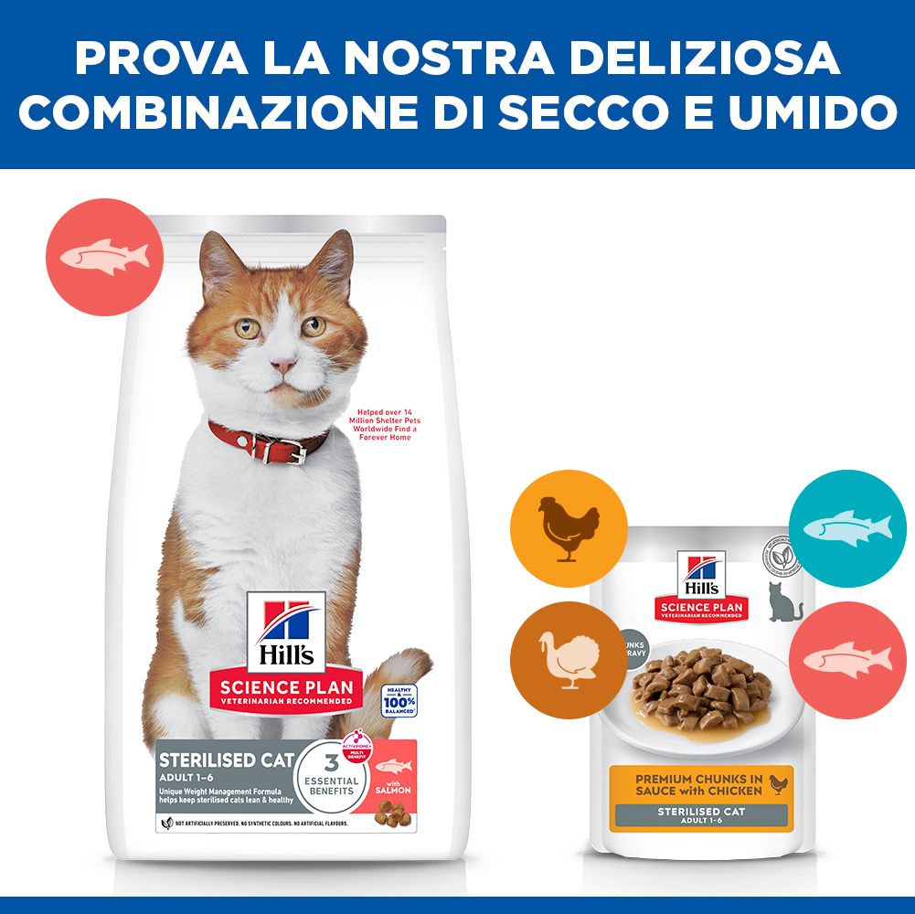 Hill's Science Plan Sterilised Cat Adult Alimento per gatti secco con salmone 10 kg Crocchette