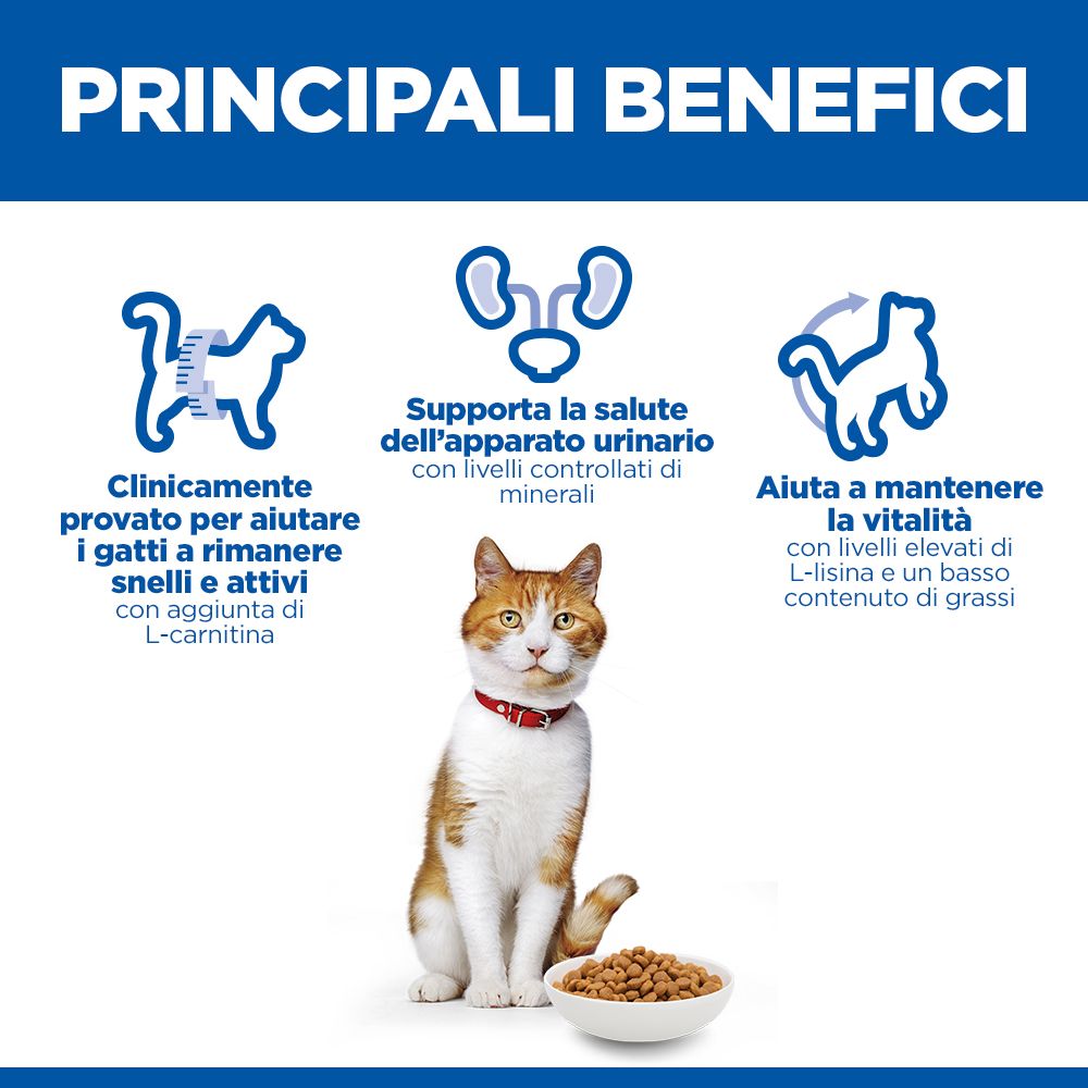 Hill's Science Plan Sterilised Cat Adult Alimento per gatti secco con salmone 10 kg Crocchette