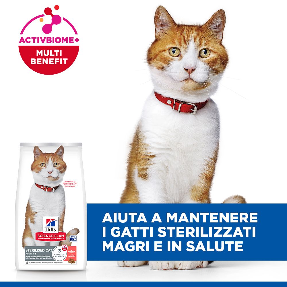 Hill's Science Plan Sterilised Cat Adult Alimento per gatti secco con salmone 10 kg Crocchette