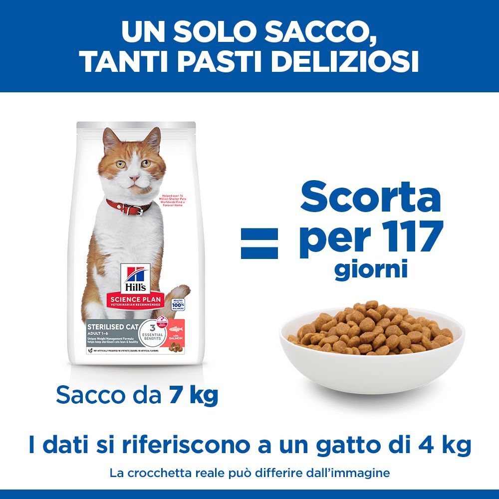Hill's Science Plan Sterilised Cat Adult Alimento per gatti secco con salmone 10 kg Crocchette