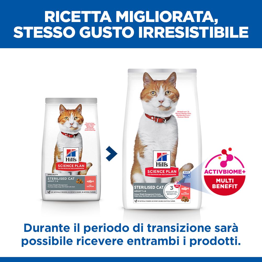 Hill's Science Plan Sterilised Cat Adult Alimento per gatti secco con salmone 10 kg Crocchette