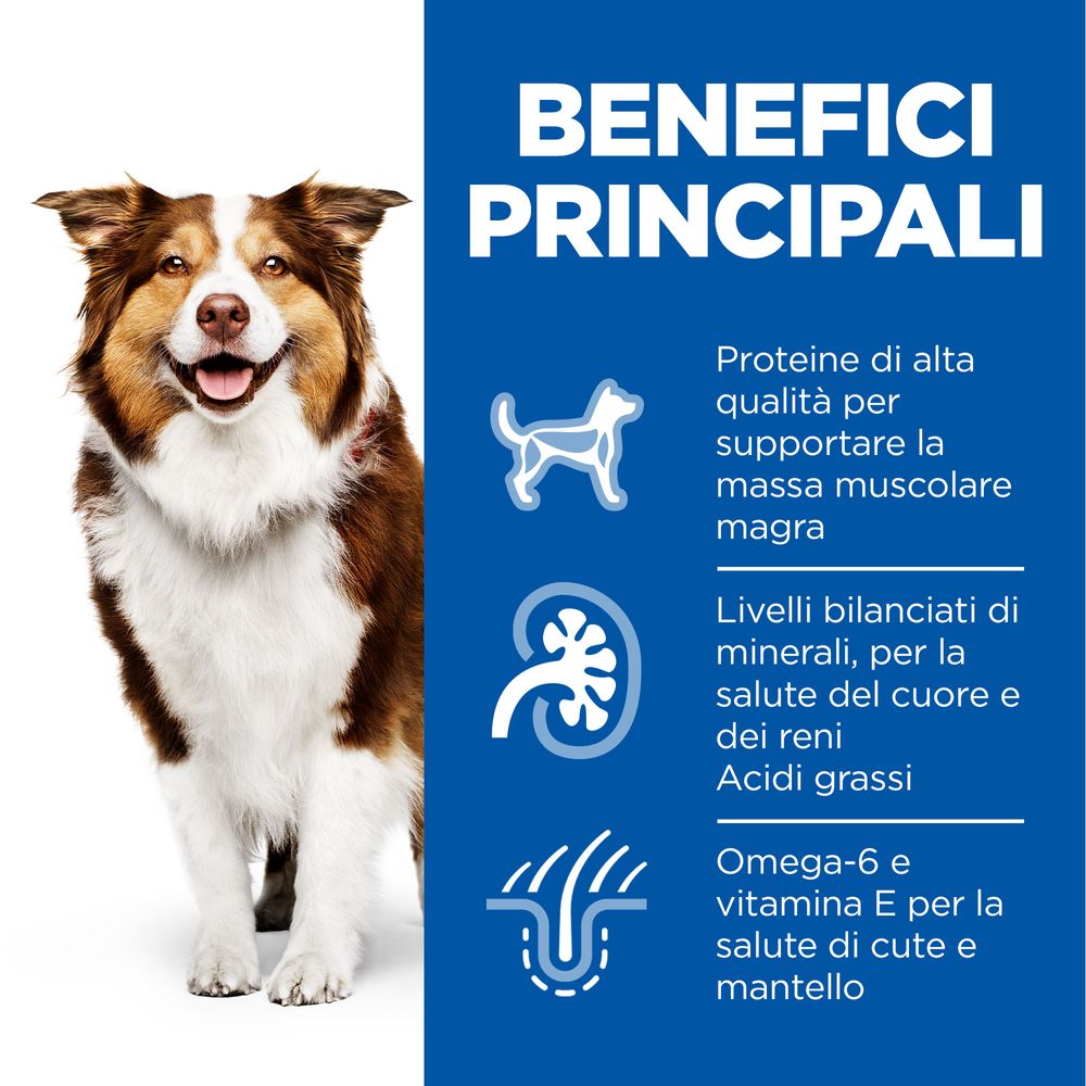 Hill's Science Plan - Hill's Science Plan Medium Mature Adult 7+ Alimento per Cani con Pollo - Animalmania Store