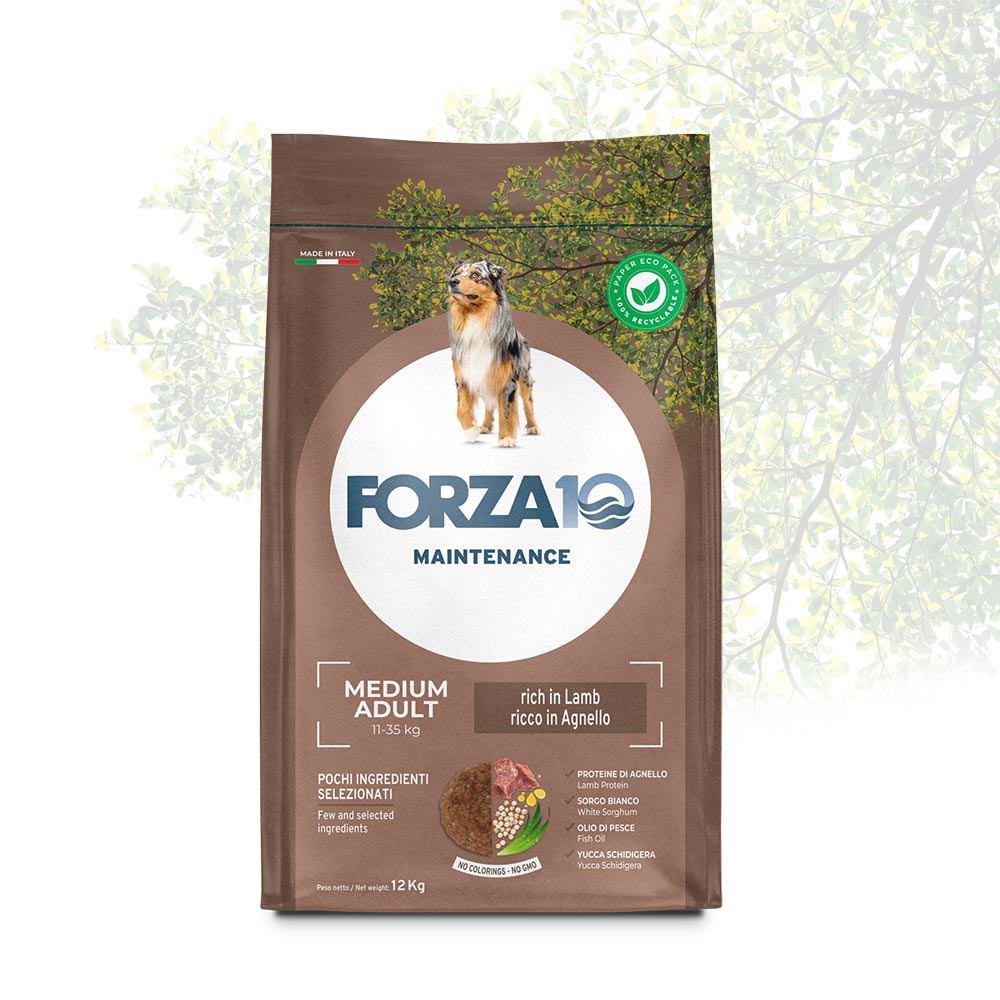 Forza10 - Forza 10 Cane adulto medio crocchette gusto Agnello 12 Kg - Animalmania Store