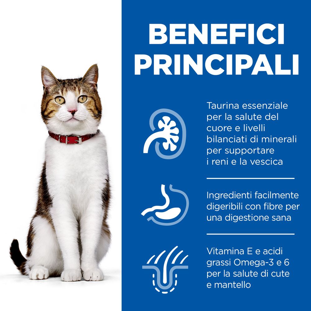 Hill's Science Plan - Hill's Science Plan Mature Adult 7+ Alimento per Gatti al Pollo Bustina - Animalmania Store