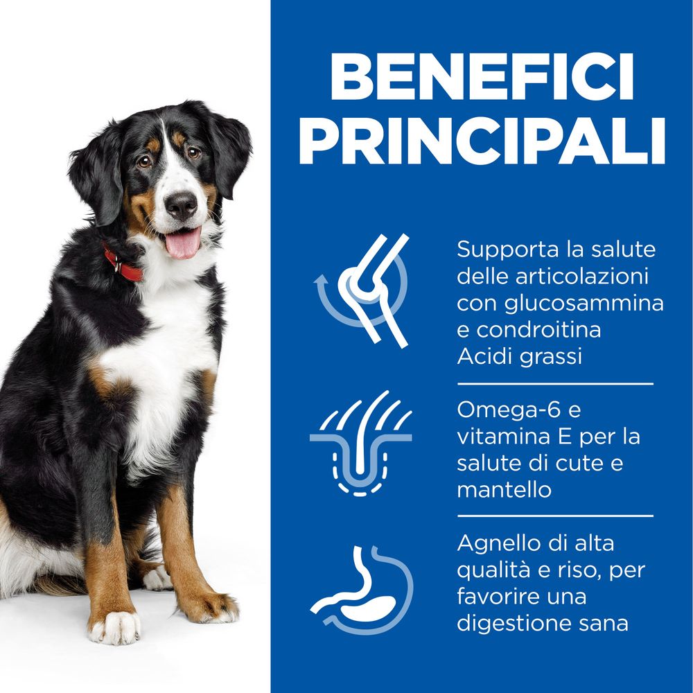 Hill's Science Plan - Hill's Science Plan Large Breed Adult Alimento per Cani con Agnello e Riso - Animalmania Store