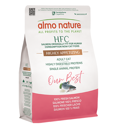 Adult Highly Appetizing - Salmone