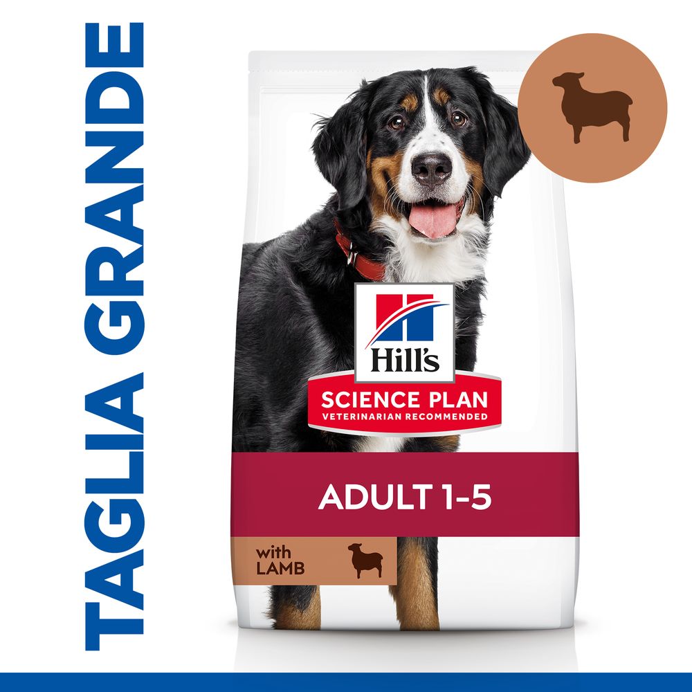 Hill's Science Plan - Hill's Science Plan Large Breed Adult Alimento per Cani con Agnello e Riso - Animalmania Store