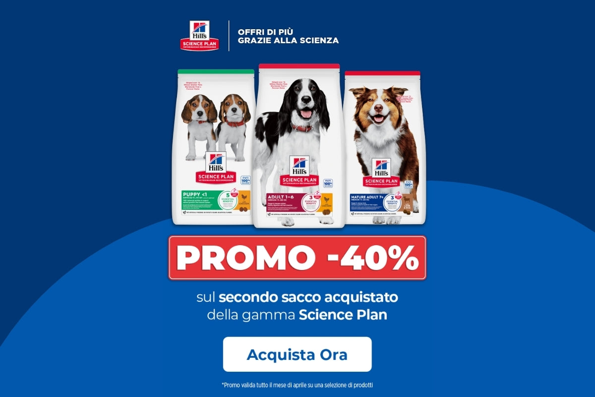 Promo Hill's Aprile 2026