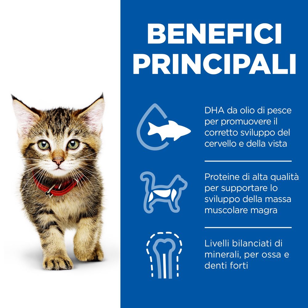 Hill's Science Plan - Hill's Science Plan Kitten Alimento per Gattini con Pesce Oceanico Bustina - Animalmania Store