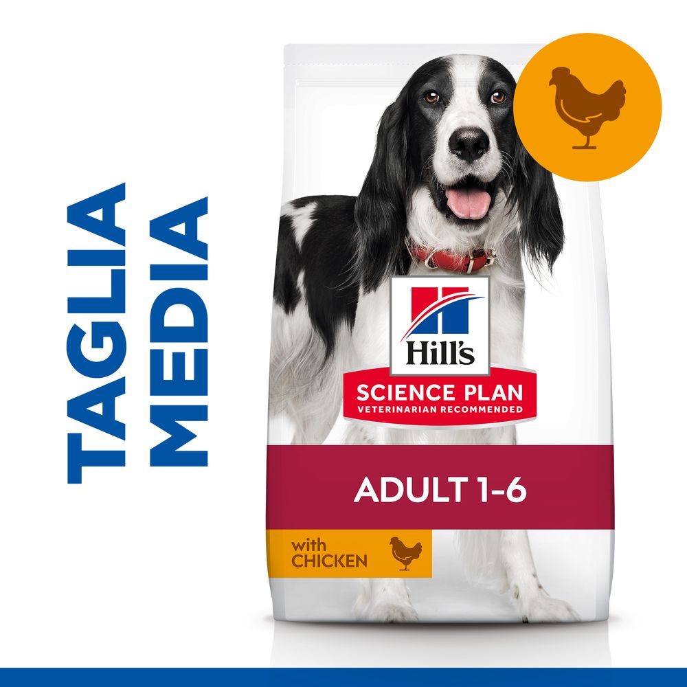 Hill's Science Plan - Hill's Science Plan Medium Adult Alimento per Cani con Pollo - Animalmania Store