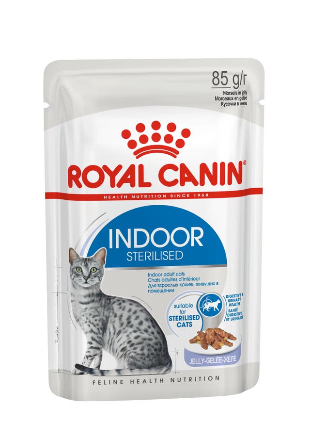 Royal Canin Indoor In Gelatina 12X85 G