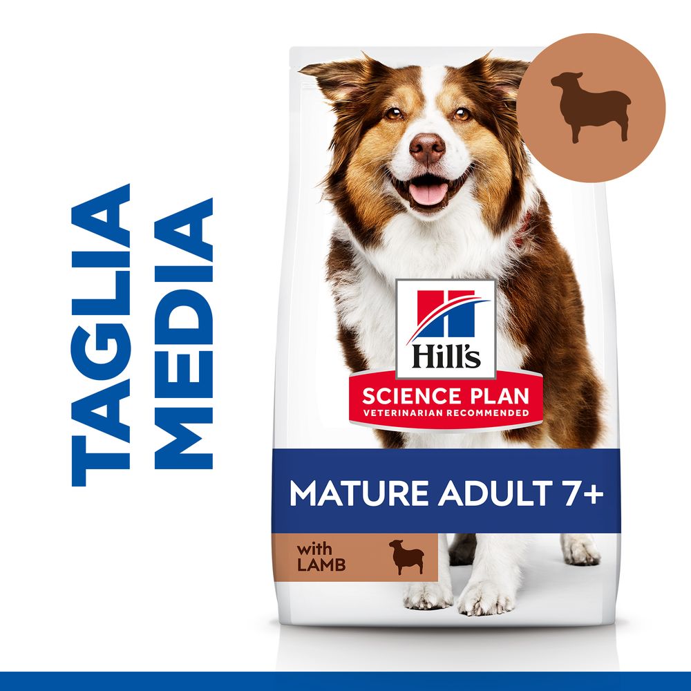 Hill's Science Plan - Hill's Science Plan Medium Mature Adult 7+ Alimento per Cani con Agnello e Riso - Animalmania Store
