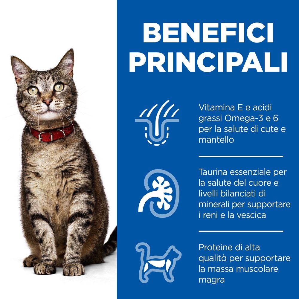 Hill's Science Plan - Hill's Science Plan Adult Alimento per Gatti con Manzo Bustina - Animalmania Store