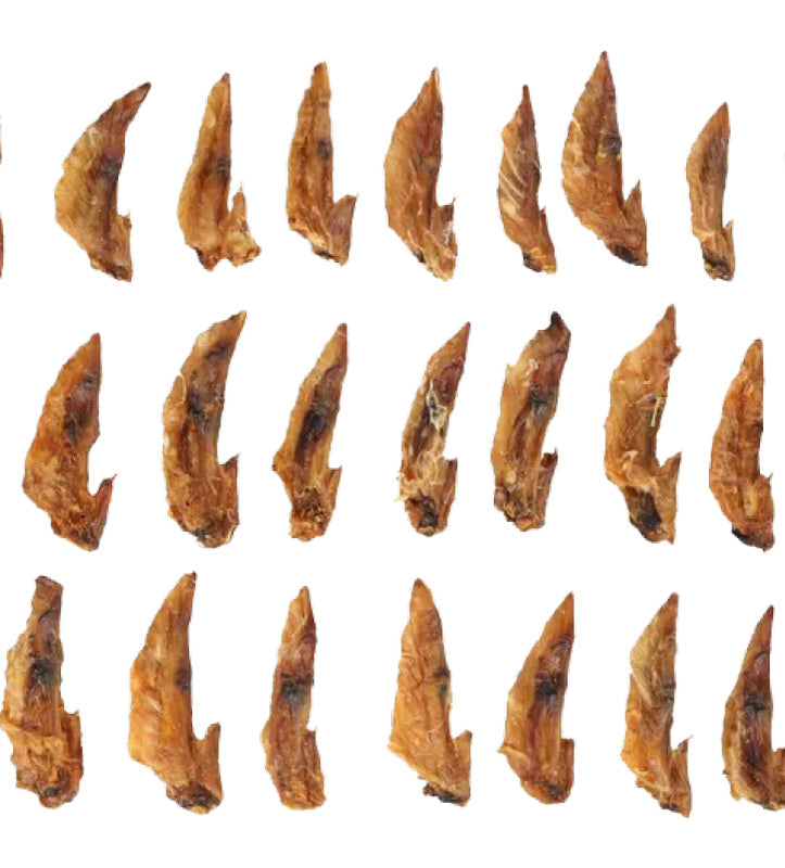 Flamingo Nature Snack Ali di Pollo 100 g