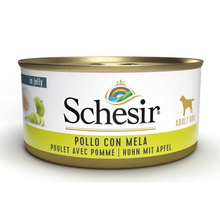 Schesir cane FRUIT Latt. 150g - Umido
