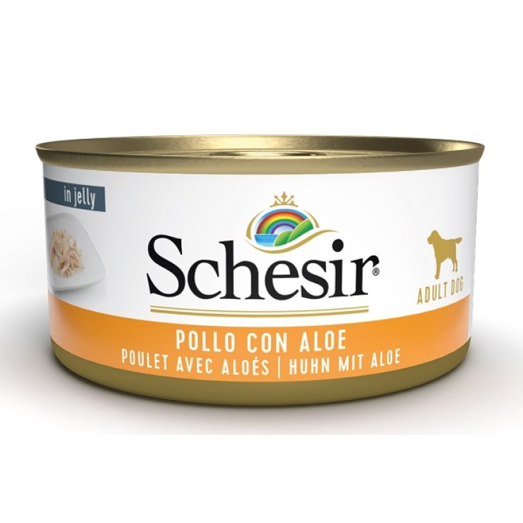 Schesir cane FRUIT Latt. 150g - Umido