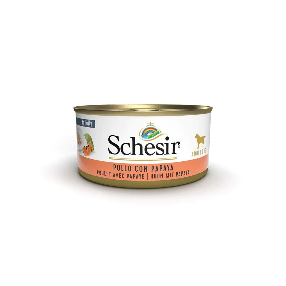 Schesir cane FRUIT Latt. 150g - Umido