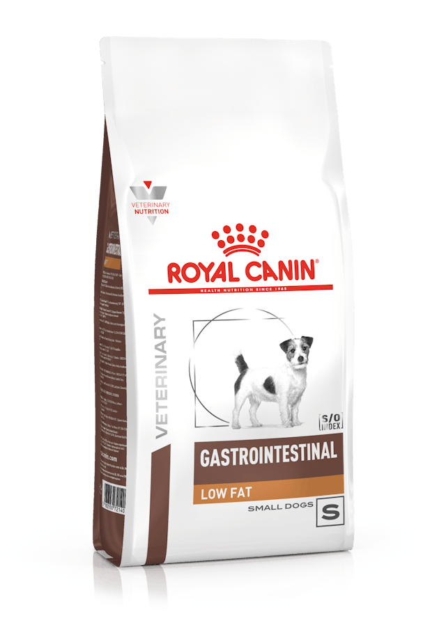 Royal Canin - Royal Canin Gastrointestinal Low Fat Per Cani Small - Animalmania Store