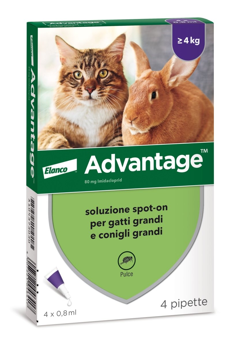 Bayer - Bayer Advantage Antiparassitario Per Gatti E Conigli Da 4Kg In Su - Animalmania Store