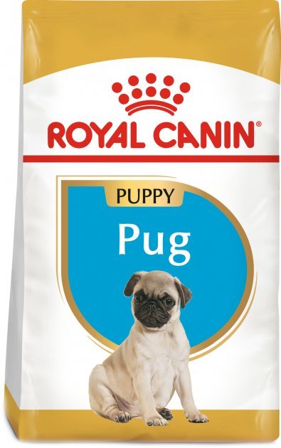 Royal Canin - Royal Canin Cane Breed Carlino Puppy - Animalmania Store