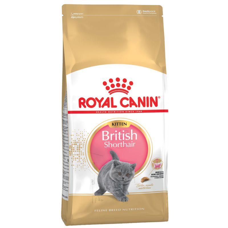 Royal Canin - Royal Canin British Shorthair Kitten Per Gatti - Animalmania Store