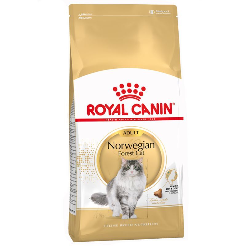 Royal Canin - Royal Canin Fbn Crocchette Per Gatti - Norvegese - Animalmania Store