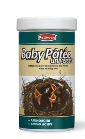 Padovan - Baby Patè Universalle Mangime completo per nidiacei di uccelli granivori 100g - Animalmania Store