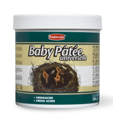 Padovan - Baby Patè Universalle Mangime completo per nidiacei di uccelli granivori 100g - Animalmania Store