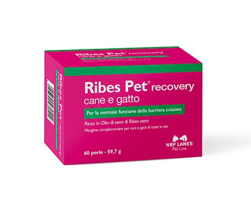 NBF - Nbf Ribes Pet Recovery Cane E Gatto 60 Perle - Animalmania Store