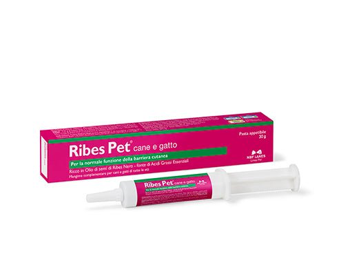 NBF - Nbf Ribes Pet Cane E Gatto Pasta 30G - Animalmania Store