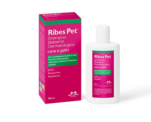 NBF - Nbf Ribes Pet Cane E Gatto Shampoo Balsamo Dermatologico 200Ml - Animalmania Store