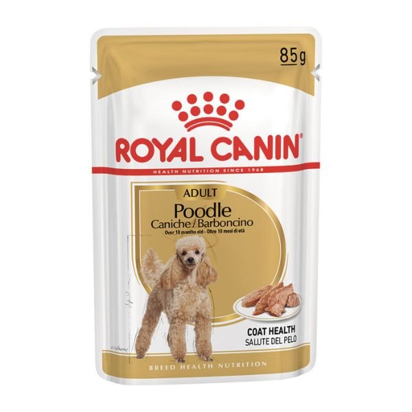 Royal Canin - Royal Canin Barboncino Adult 85G - Animalmania Store