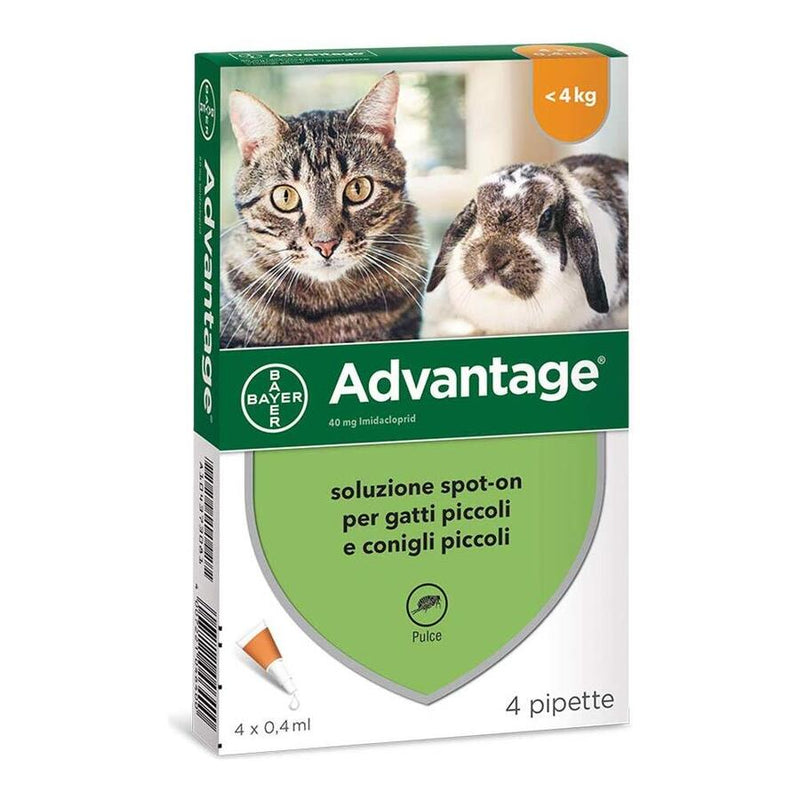 Bayer - Bayer Advantage Antiparassitario Gatti E Conigli Fino A 4Kg - Animalmania Store