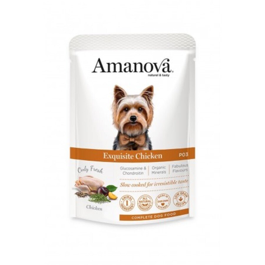 Amanova - Amanova Cibo Per Cani Pouch Exquisite Chicken 100G - Animalmania Store