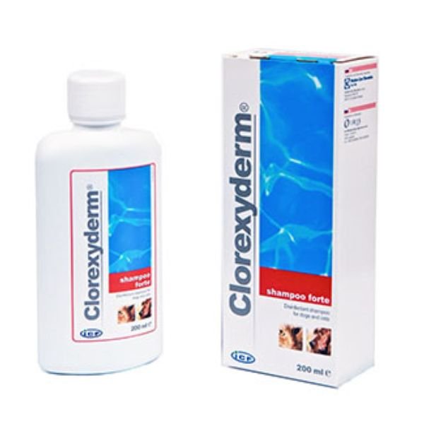 ICF - Clorexyderm Shampoo Forte 200Ml - Animalmania Store